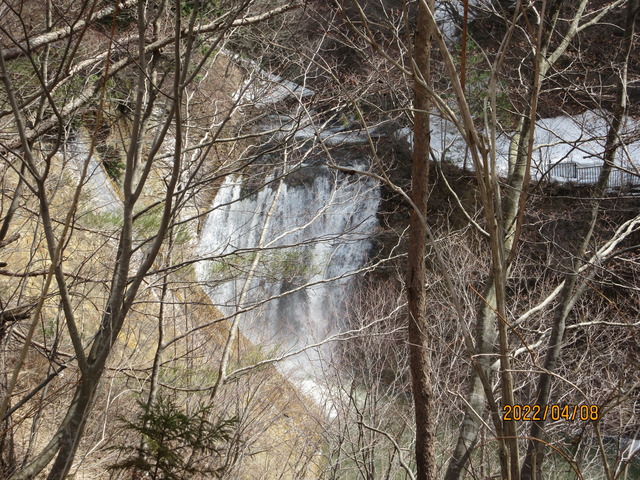 IMG_8661
