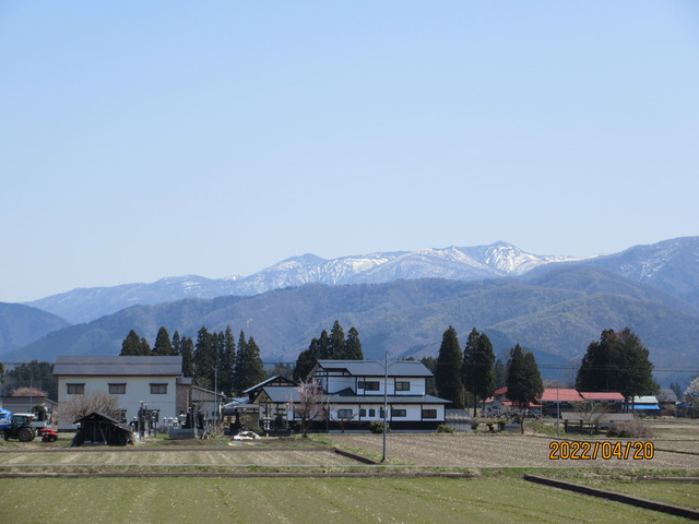 IMG_9162