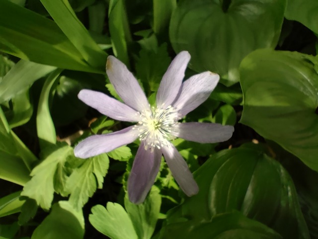 IMG20240427092944