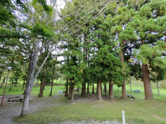 IMG20260915152008
