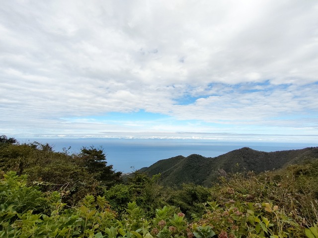 IMG20241006094557