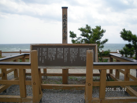RIMG3555
