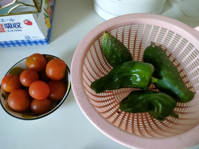 IMG20220819154205