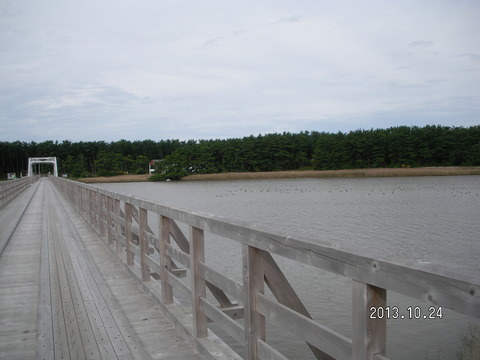 RIMG2697