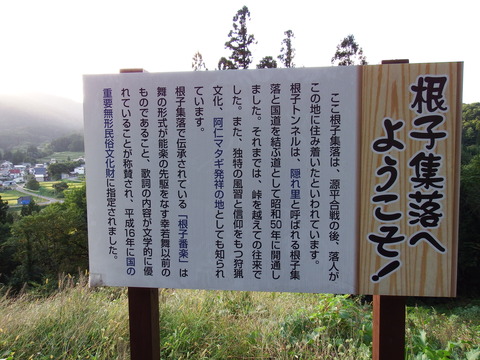 DSCF6526