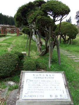 DSCF5349