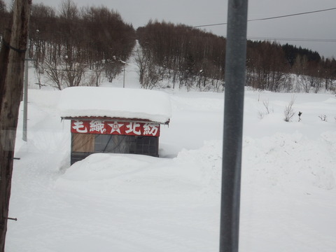 DSCF4198