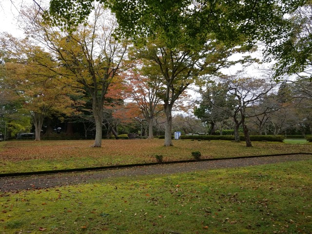 IMG_20211016_081934