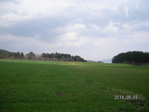 RIMG3539