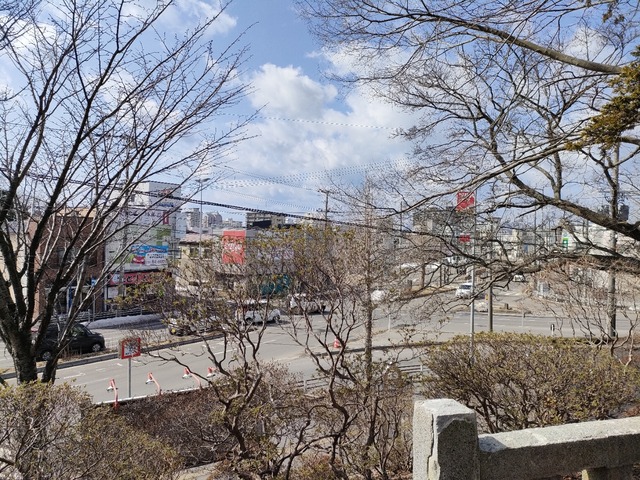 IMG20240316100854