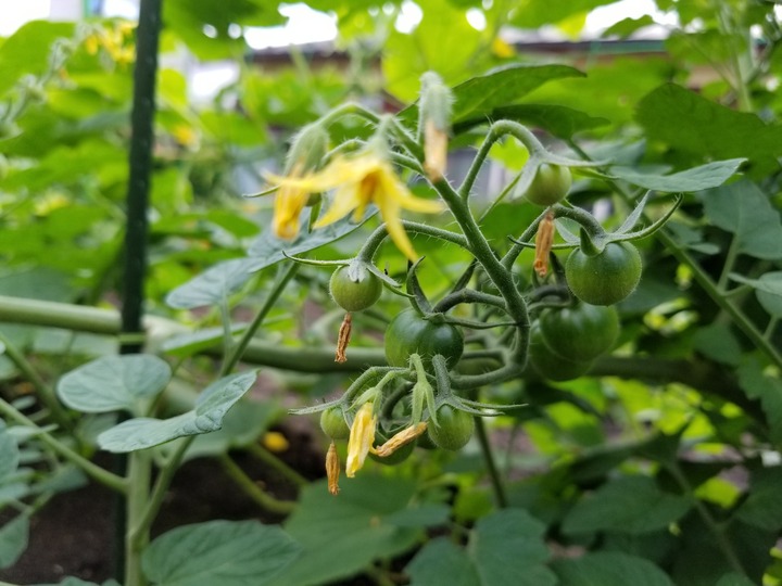 20190730_082424