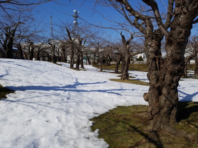 IMG_20210309_110309