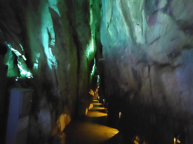 IMG20230420102420