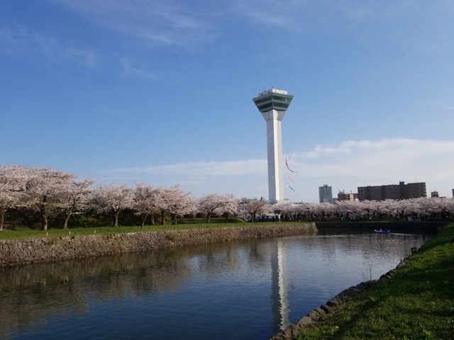 IMG_20220425_161358