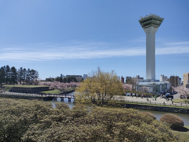 IMG20240422094823