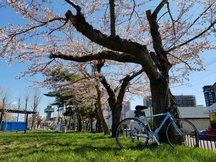 20190428_101736