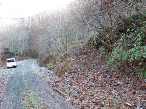 DSCF3476