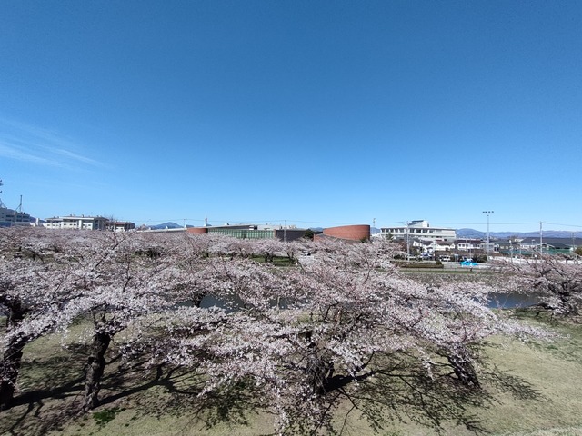 IMG20240422093606