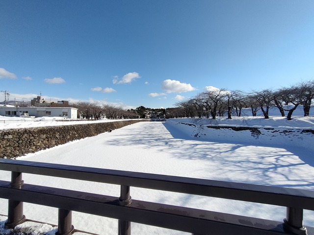IMG20230209093836