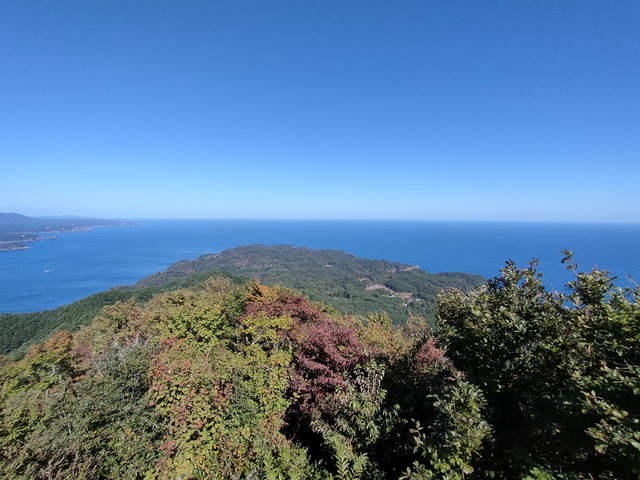 IMG20231018113303