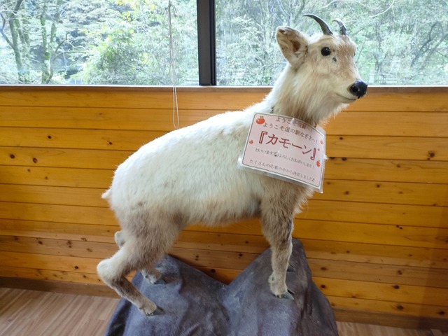 IMG20241008123545