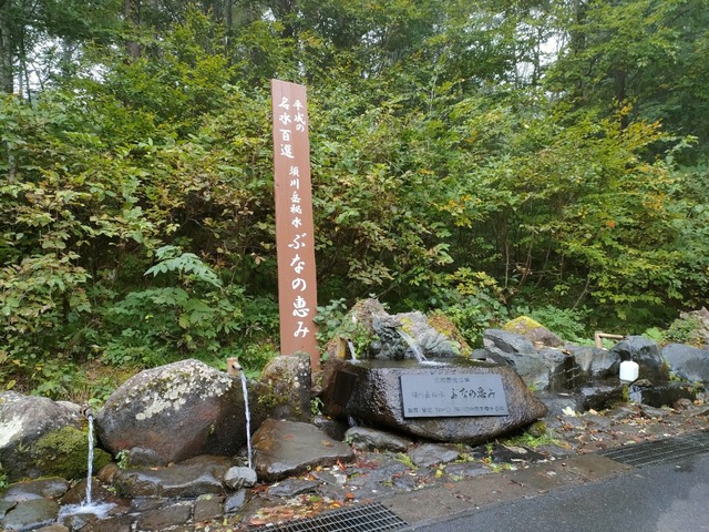 IMG20221014072052