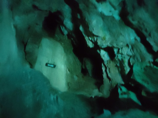 IMG20230420104851