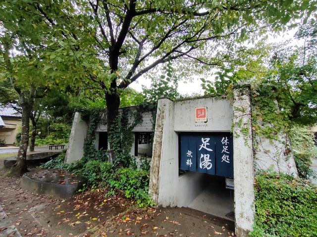 IMG20241009083232