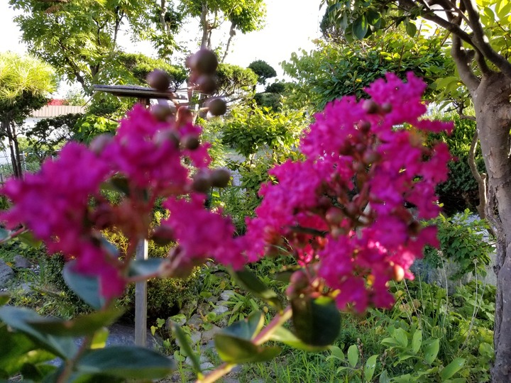 20190918_162310