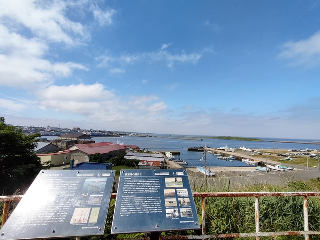 IMG20250711091543