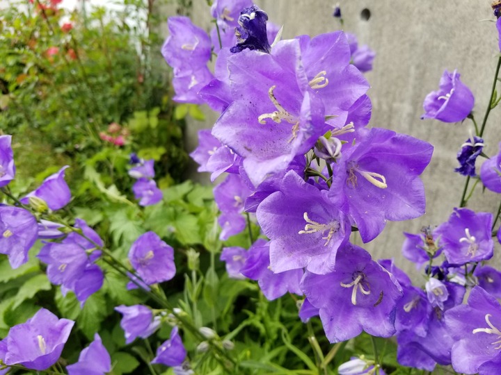 20190618_162751_002