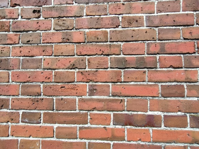 IMG20260918104931