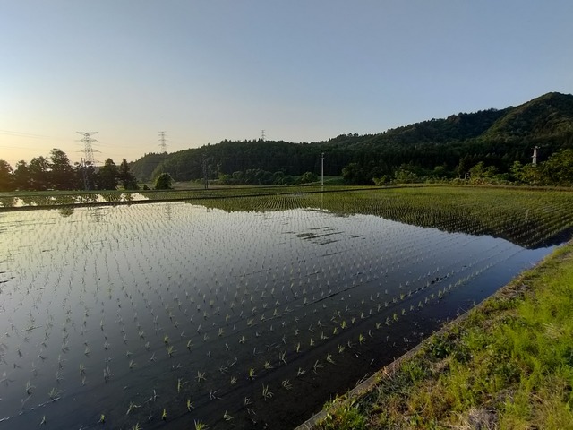 IMG20240517181939