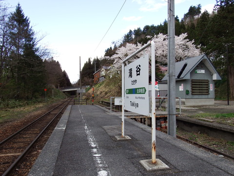 DSCF4981