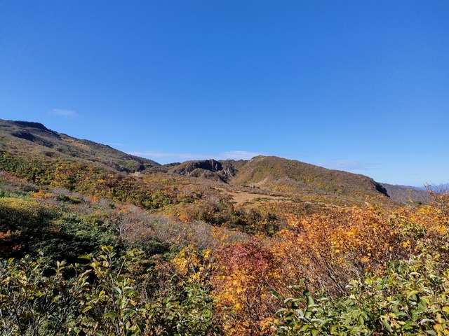 IMG20221014090622