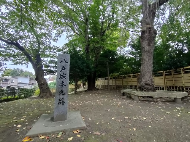 IMG20231019130451