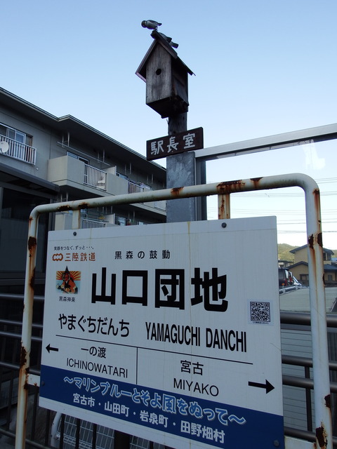 DSCF7155