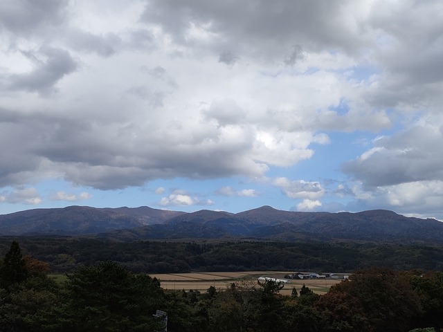 IMG20221018084732