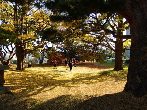 DSCF7613