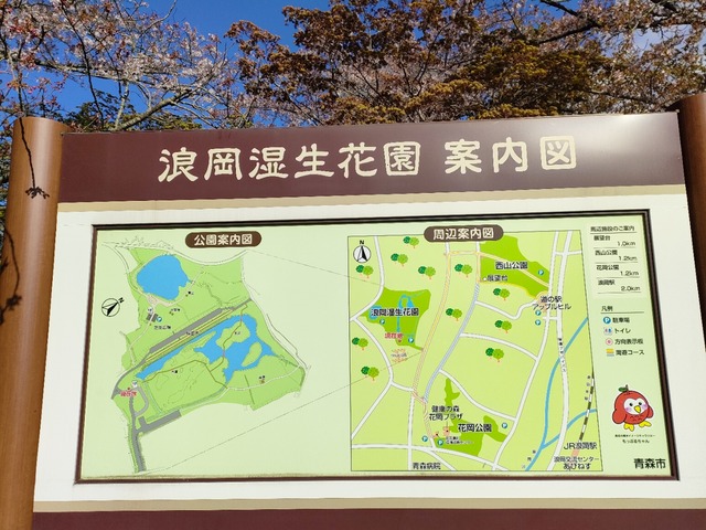 IMG20230423072614