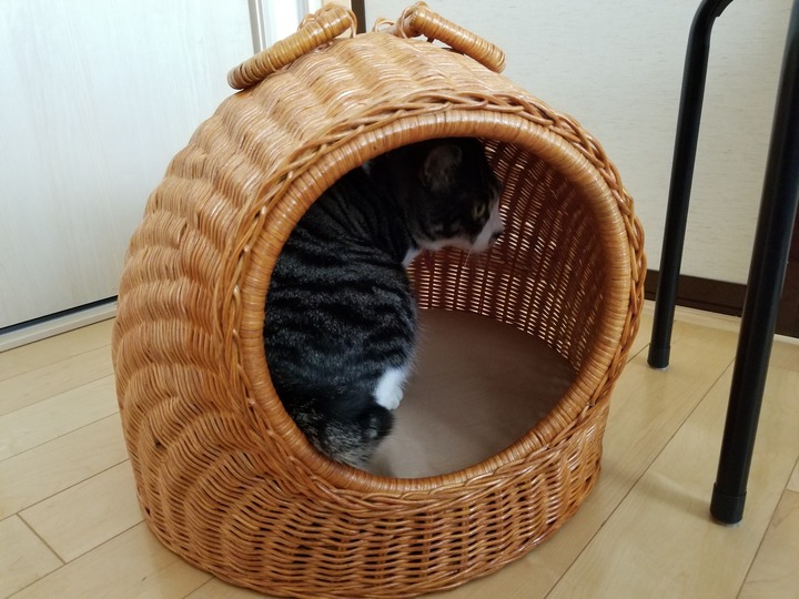 20190529_102048