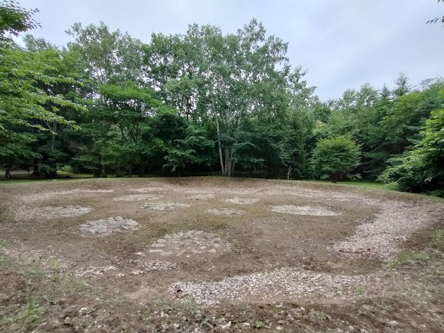 IMG20240710105302
