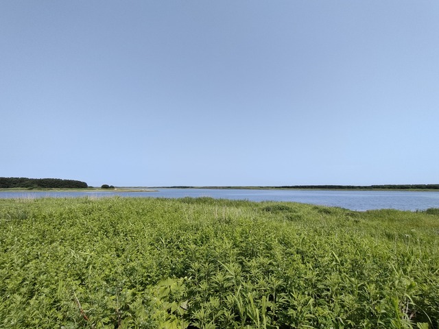 IMG20240711090522