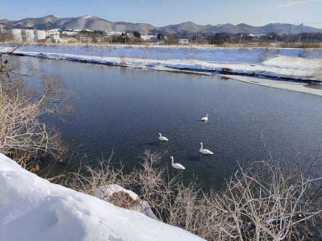 IMG20230205091701