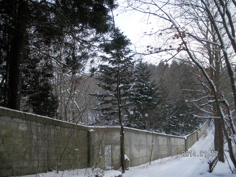 RIMG2825