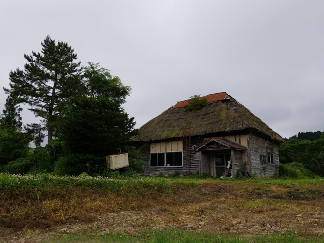 IMG_20210708_101835