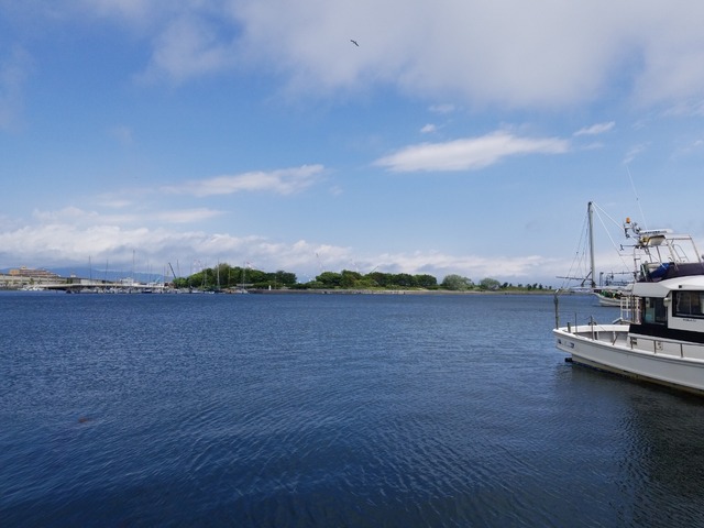 IMG_20220625_102230