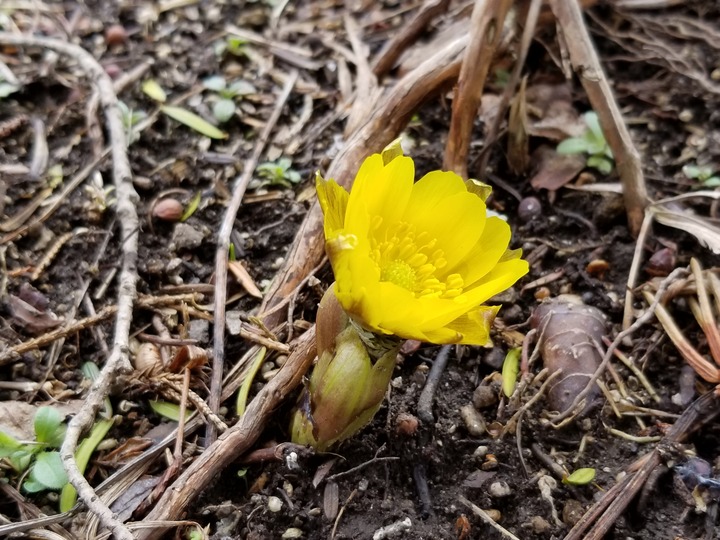20190314_123240