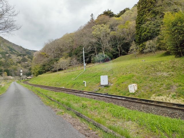 IMG20230419074113