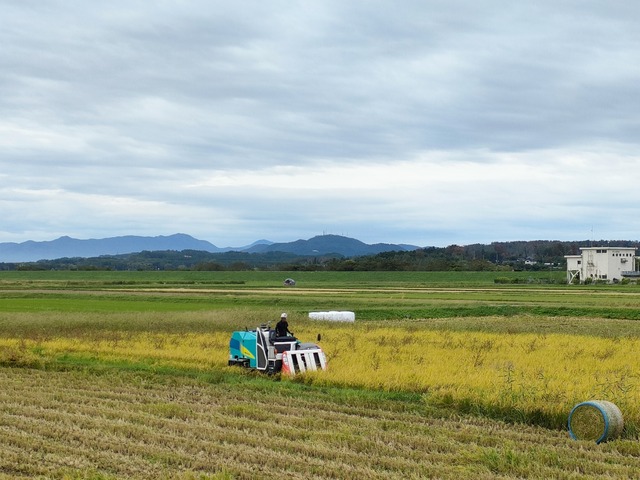 IMG20241004105215